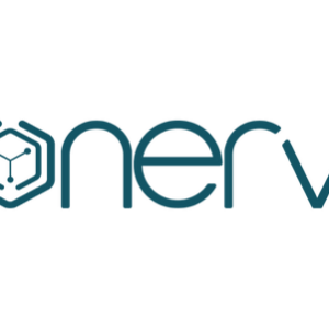 project-nerv-nics