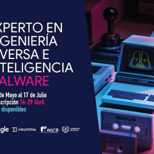 diploma experto 2024